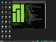 XFWM Manjaro 16.10 Fringilla